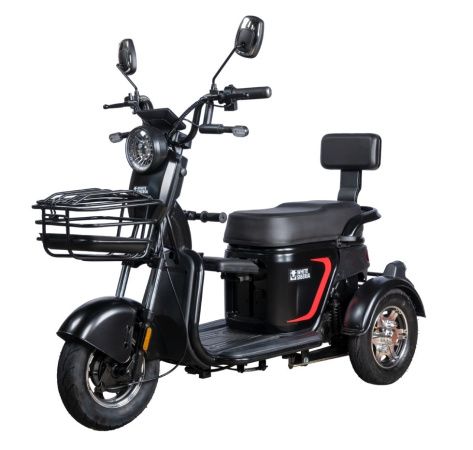 Пассажирский трицикл WHITE SIBERIA SIBTRIKE L 2000W